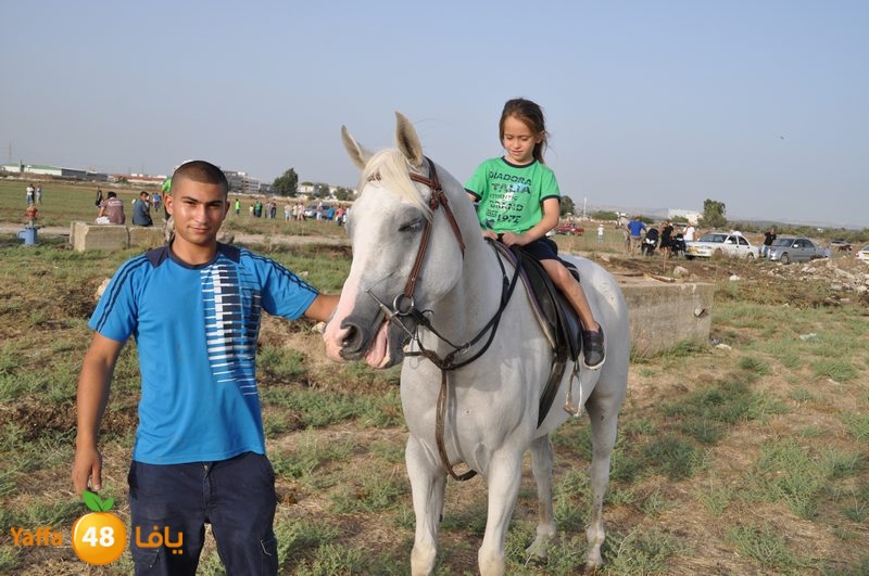 kheil sebaq (29).JPG